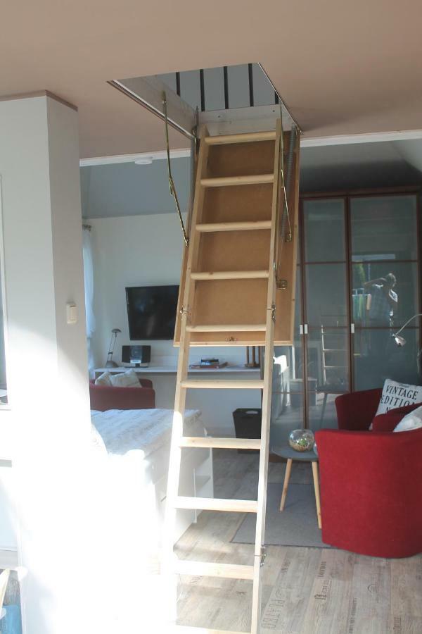 Ferienhaus Kleine Hexe Thale Bagian luar foto