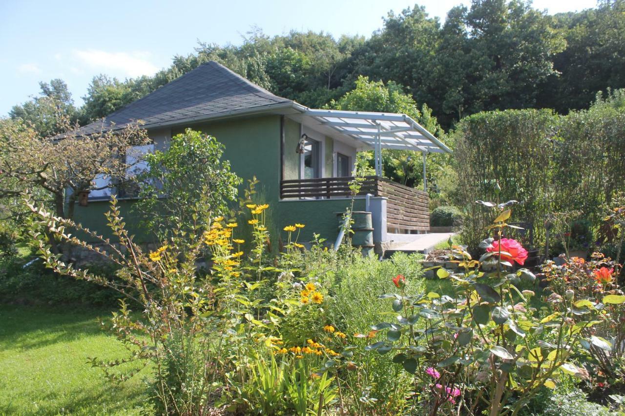 Ferienhaus Kleine Hexe Thale Bagian luar foto