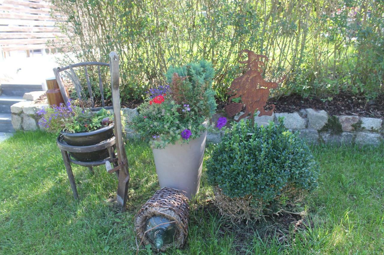 Ferienhaus Kleine Hexe Thale Bagian luar foto